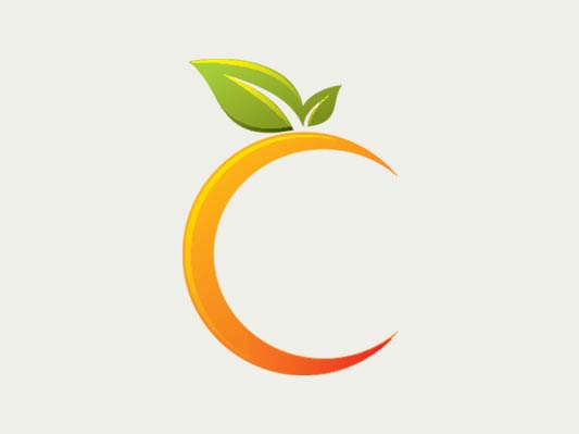 Citrus Informatics (India) Pvt Ltd